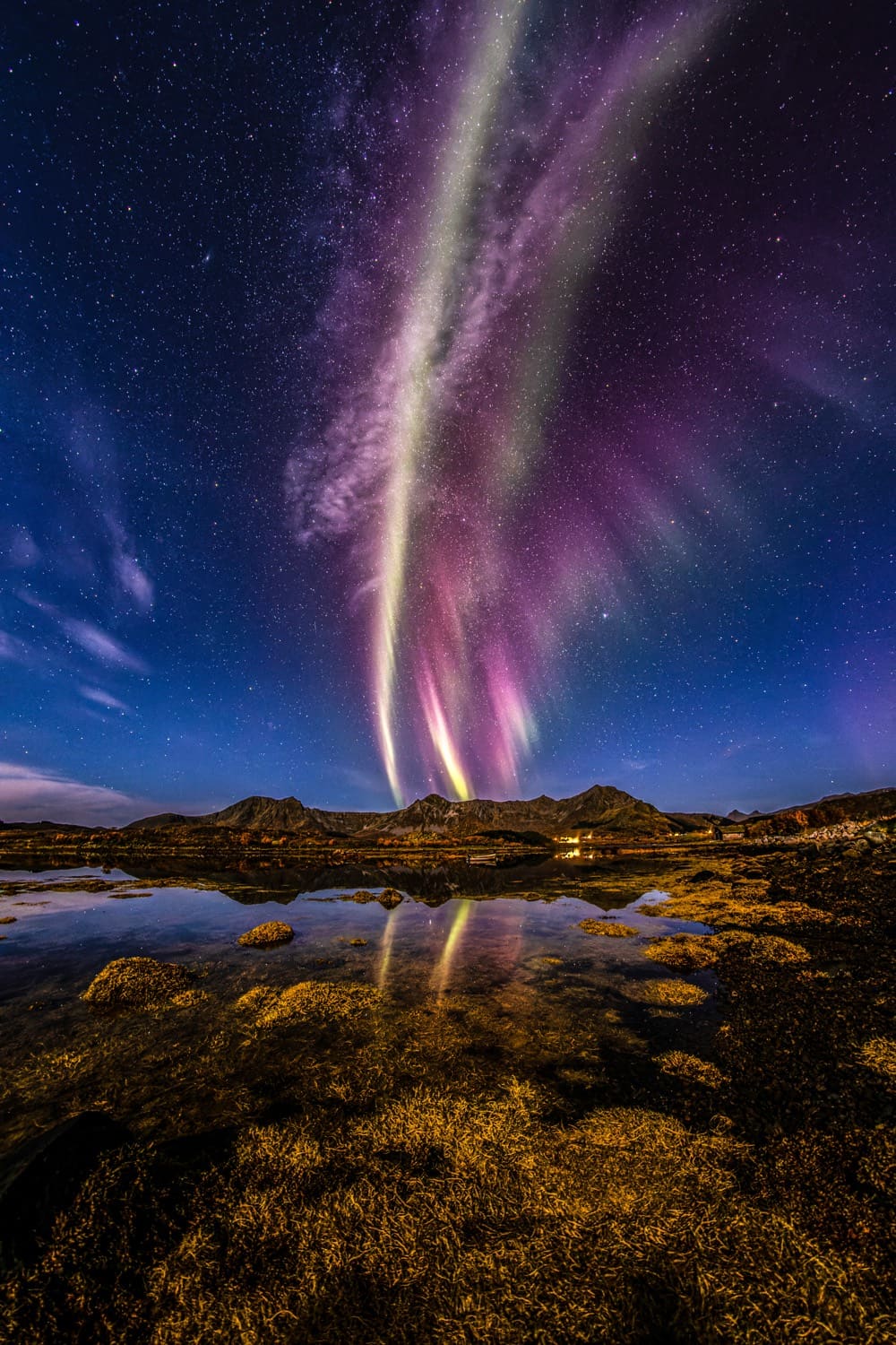 Purple and gold aurora ribbon beside the Milky Way over golden shoreline rocks